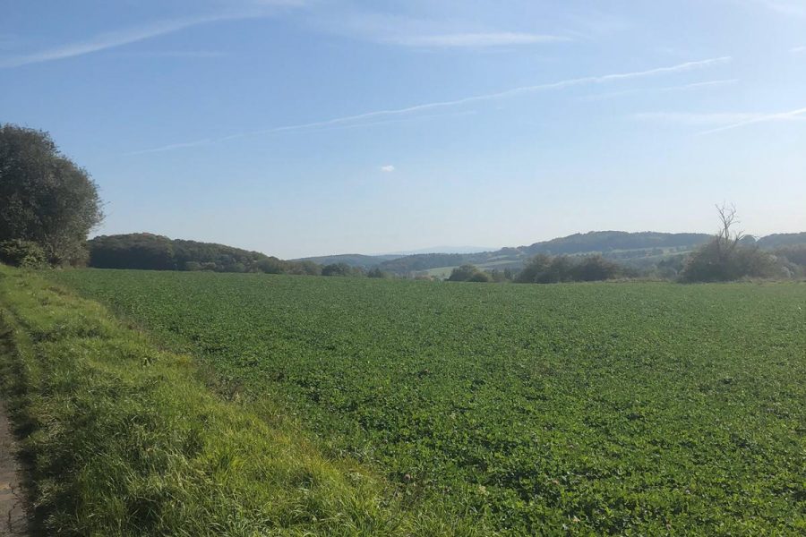 Landschaft Mengerskirchen